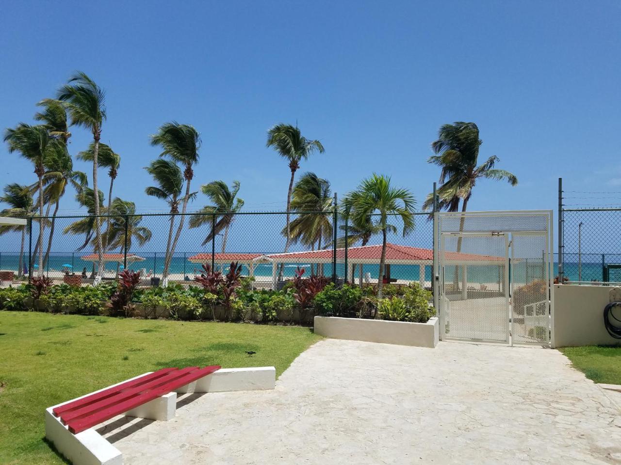 Marbella Del Caribe 1608 Daire San Juan Dış mekan fotoğraf